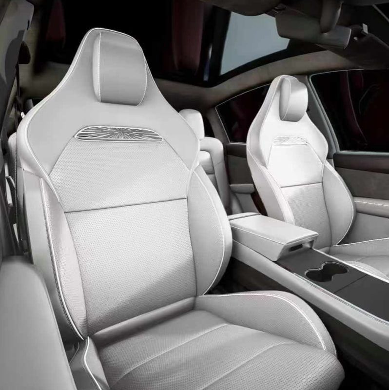 Tesla massage headrest